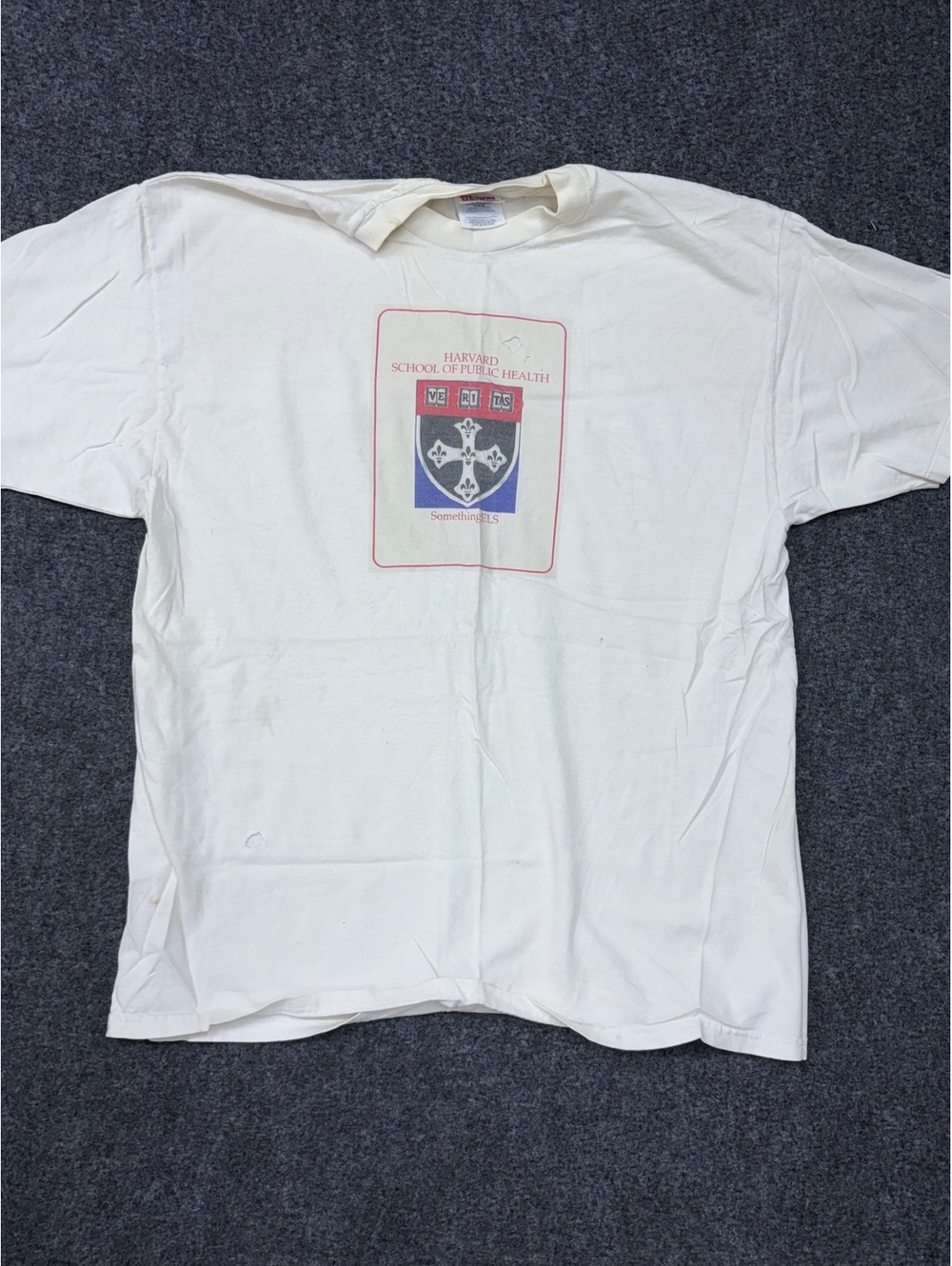 Vintage Hanes Heavyweight Harvard School of Public Health T-